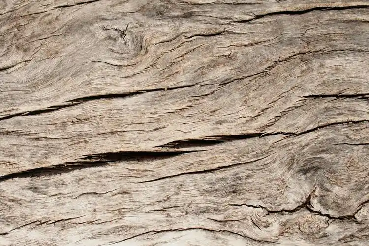 木材杂_designtnt-free-textures-wood-5.jpg
