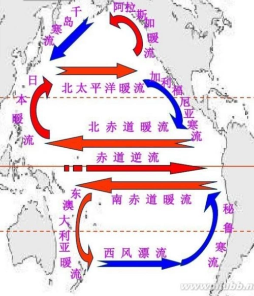太平洋中有什么洋流经过