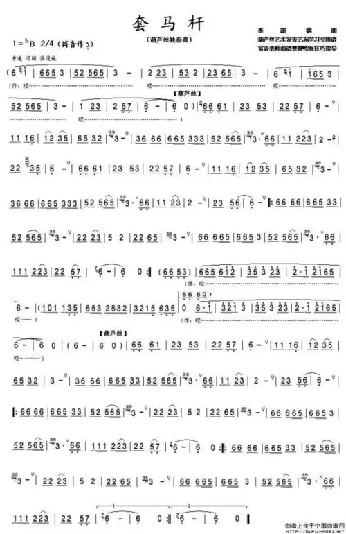 葫芦丝演奏草原神曲《套马杆》