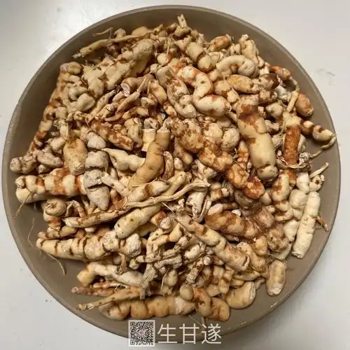 中药材甘遂生甘遂有卖质量可靠