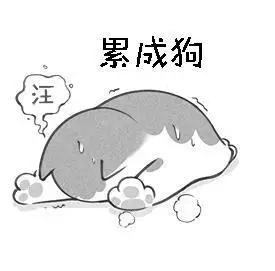 em>累 /em> em>成 /em>狗  em>汪 /em>