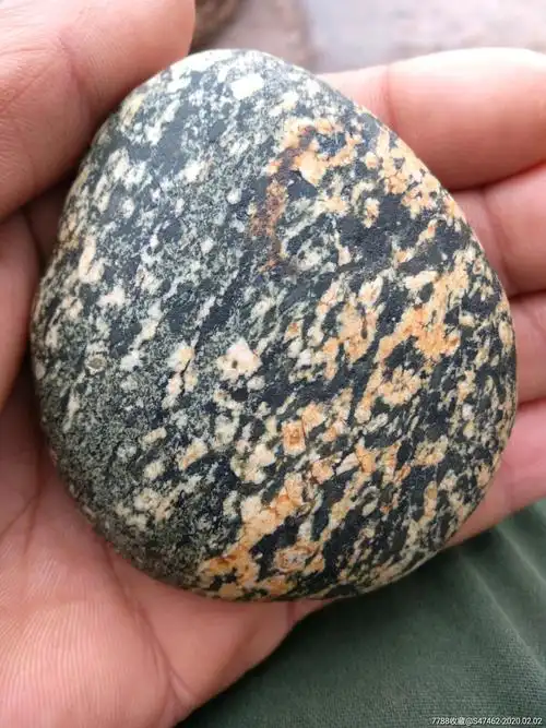 原生态嘉陵江草花奇石