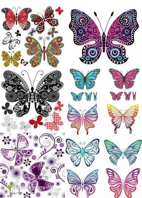 精美装饰蝴蝶纹饰矢量素材 - 堆糖,美图壁纸兴趣社区