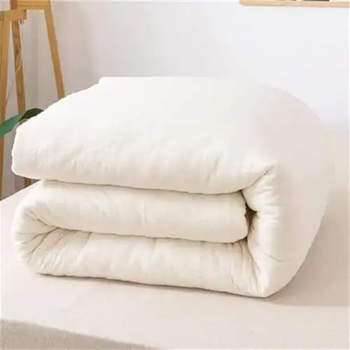 褥子新品气床斤铺寝室大学3u透气絮斤加厚棉花被