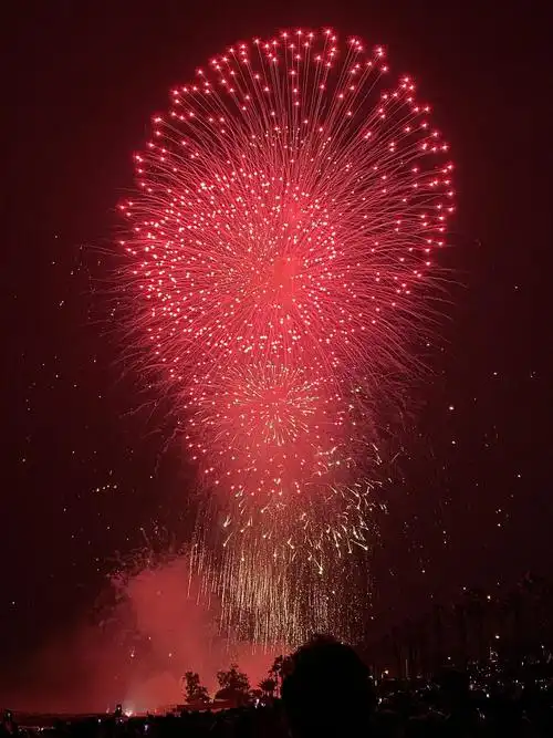 来来,欣赏一下小猪包头顶的烟花