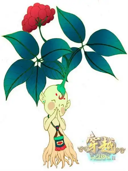 人参姑娘——人参娃娃 - 长白山小耗子 - 长白山朝鲜族家庭宾馆