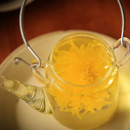 浔隐山 金丝皇菊 一朵一杯大菊花茶 冲泡 饮料袋装小包20朵/盒