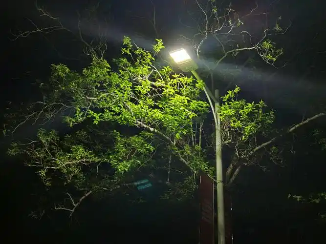 夜晚街灯