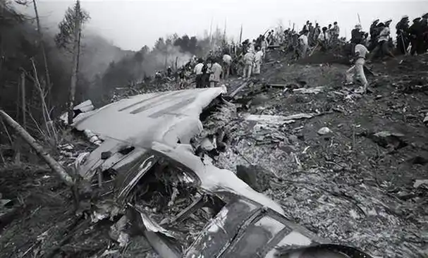 飞机撞山坠毁,乘客遗体全部消失,技术员从黑匣子找到真相_空难_事故