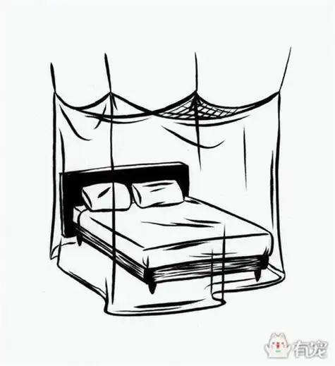 简笔画蚊帐的床