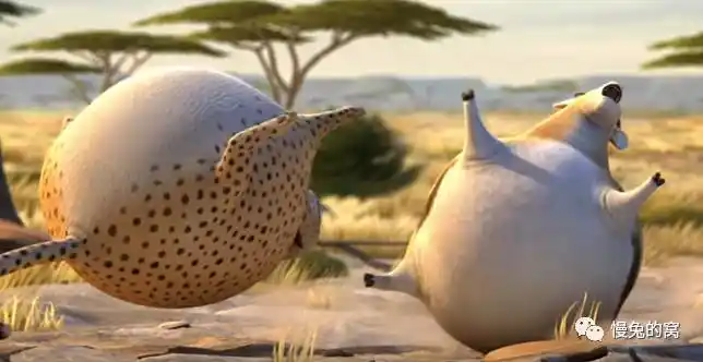 如果动物们都是圆球.火遍全球的动画短片系列 rollin' wild