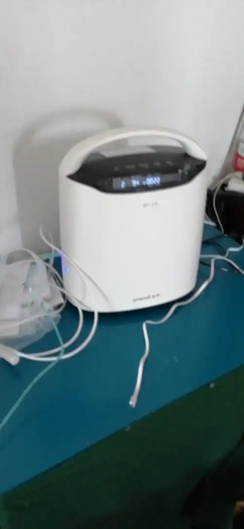 制氧机 8f-2a氧气机 2l 老人孕妇学生家用保健吸氧机吸氧器2升机浦