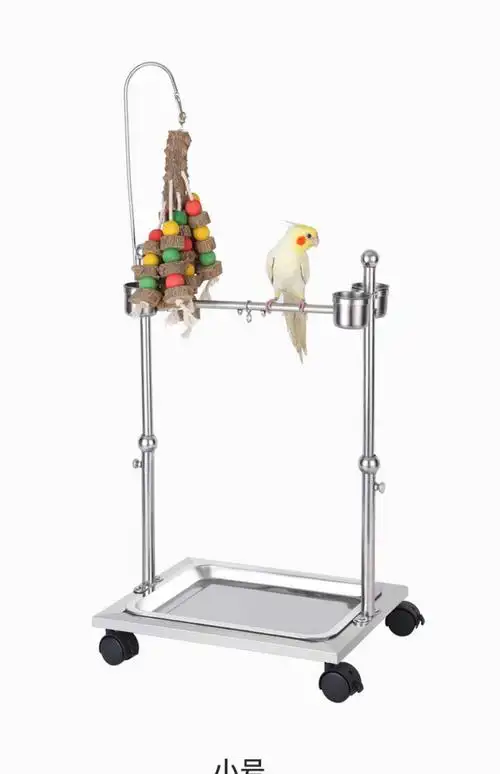 鹦鹉站架不锈钢大型小太阳八哥玄凤灰鹦鹉脚环脚链站杆鸟笼鸟架子中号