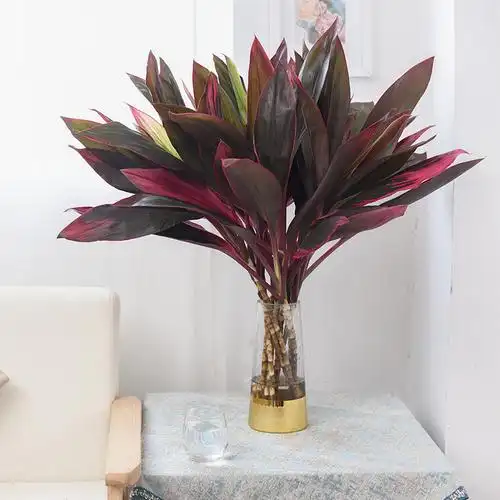 花里家水培红朱蕉红紫色富贵竹鲜切枝绿植转运竹可鲜花速递同城