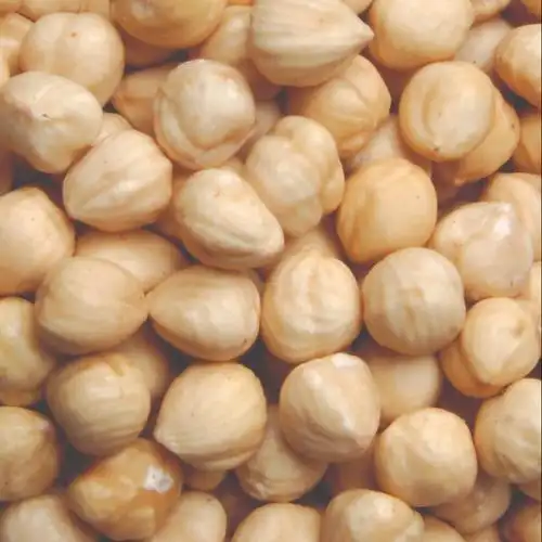 factory wholesale roasted hazelnut kernels 11-13 mm, 13-15 mm