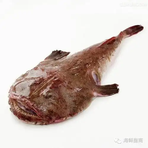 石斑鱼(珍珠龙胆,青斑,老虎斑,七星斑,东星斑等 30.三文鱼 31.