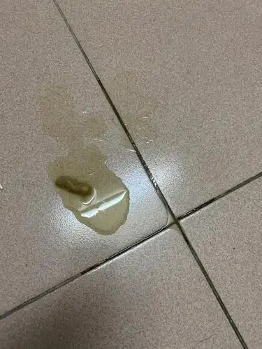 【讨论】已解决,猫肾病吐黄水是胃酸过多吗(内有呕吐物,慎点!