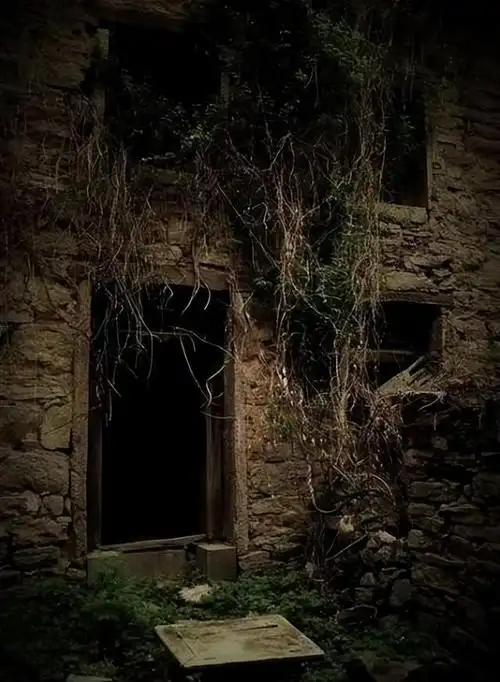 中国第一鬼村"封门村"有多神秘?网红夜闯鬼村,后又报警求救