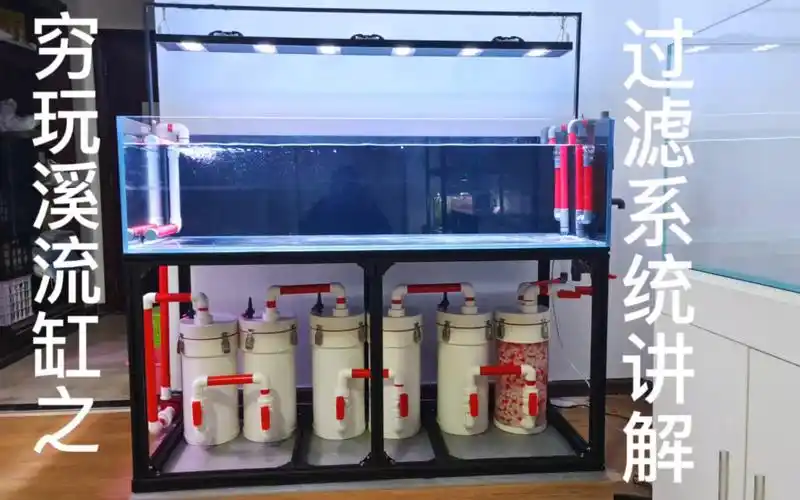 鱼缸里的大自然#自制过滤桶#鱼马桶#手工 #过滤系统 @猎大师过滤