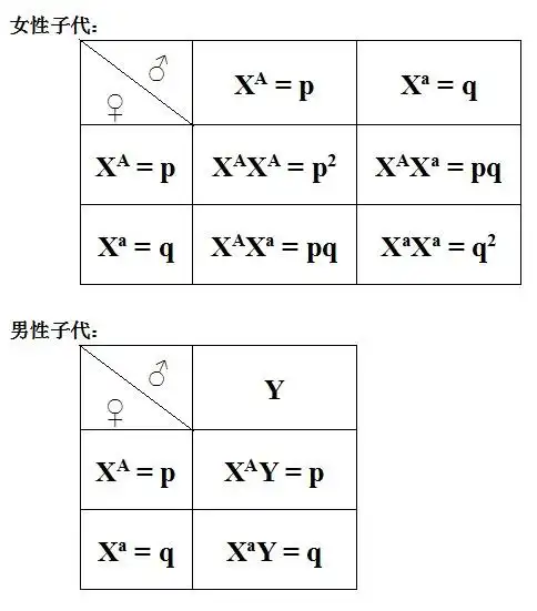伴性遗传随机交配基因频率是否改变?