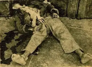 老照片里的深圳 | 抗日将领蔡廷锴将军别墅最早的照