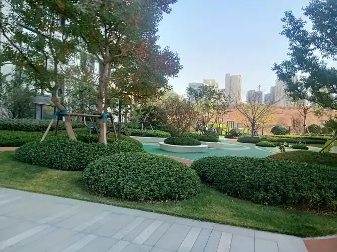 上海 苏州园林景观考察 微地形 园林绿化