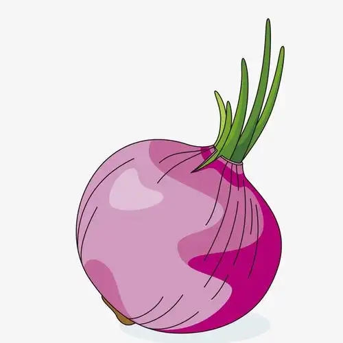 卡通手绘洋葱矢量图