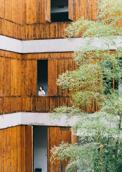 杭州漫步|关于中国美院的一百种美态