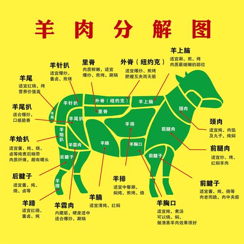羊肉分解图海报展板牛肉分割图羊肉分割部位图大贵牛羊肉墙贴纸