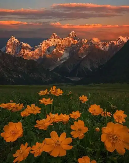 深度解读常说的超焦距是什么如何利用超焦距获得大景深