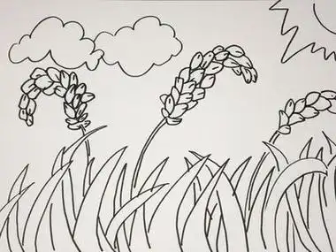 稻田和稻花怎么画简笔画