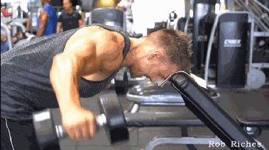 哑铃反向飞鸟这个动作,更适合有一定训练经验的人来使用,新手练这个