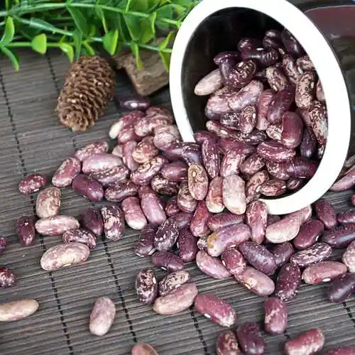 修补增强免疫力及防衰老等功效最值得一提是红腰豆不含脂肪但含高纤维