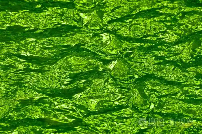 纹理的绿色波纹水