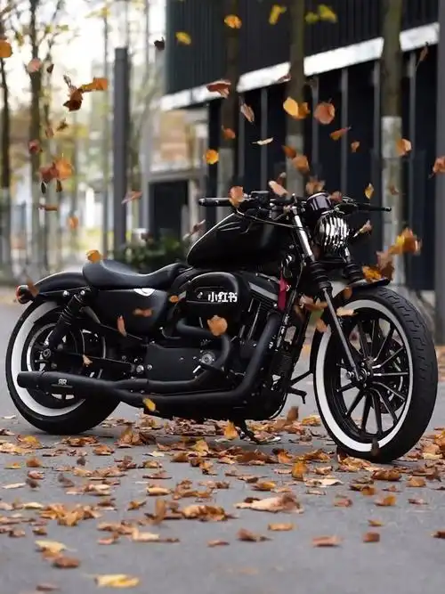 哈雷戴维森泉州  #哈雷883硬汉  #哈雷运动者系列  #机车  #摩托