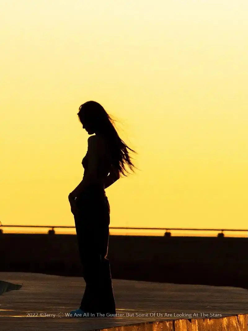 倘若南风知我意,莫将晚霞落黄昏