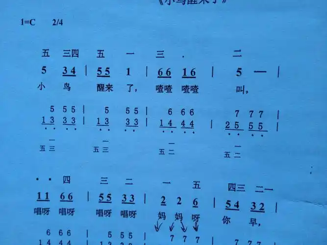 这个简谱中歌词小鸟对应的音右手先弹5还是左手先弹1还是同时右手弹5