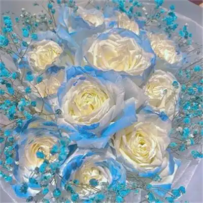 全新高清ins超火花朵背景图2023_个性头像_美头网