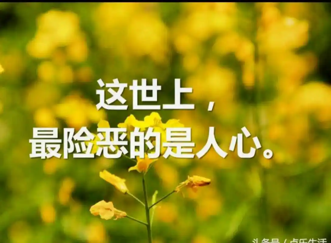 人心隔肚皮真是险恶的很! - 抖音