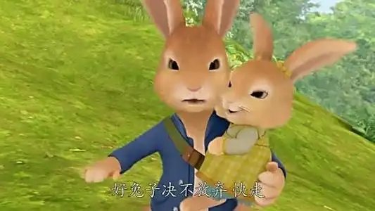 棉球尾的简笔画