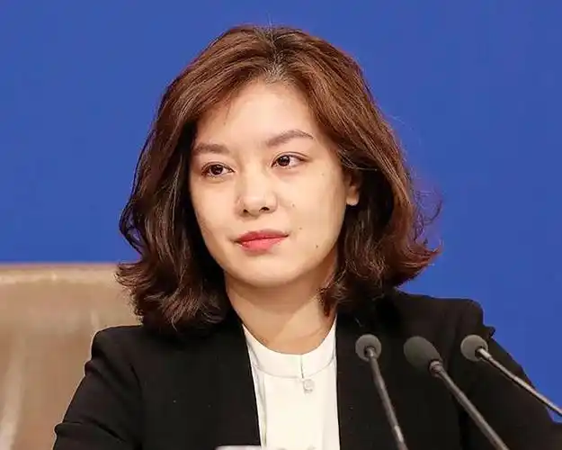 最美翻译官张京17岁拒绝清北美国国务卿给她加工资