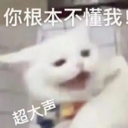猫猫表情你根本不懂不懂我
