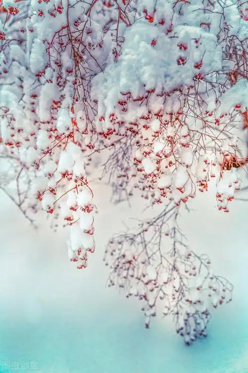 下雪啦冬日唯美雪景图片一起欣赏雪中浪漫的意境