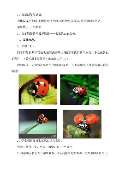 辽海版二年级下册美术教案第6课七星瓢虫衣裳美