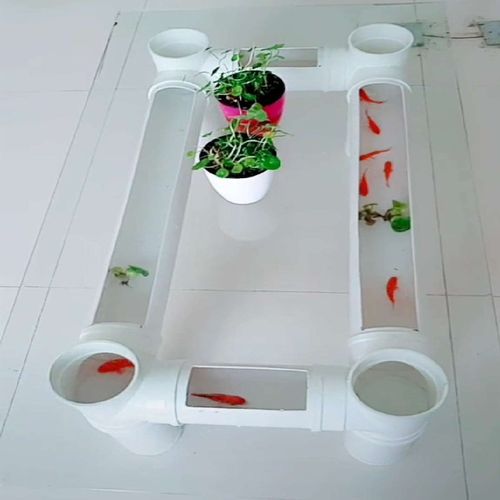 金鱼鱼缸水管创意pvc抖音茶几金鱼缸做出配件鱼缸