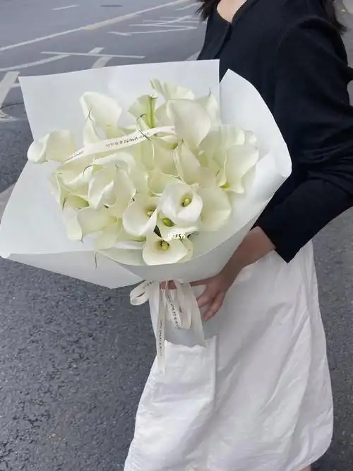 爱是永恒的纯真07海芋花束