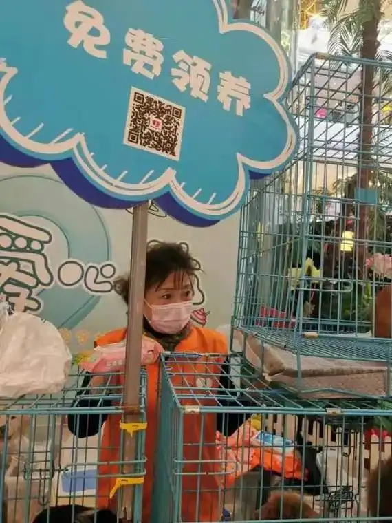 关爱流浪动物 #扬州领养日  三盛广场,本周日,爱心领养活 - 抖音