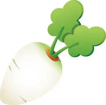 手绘白萝卜素材