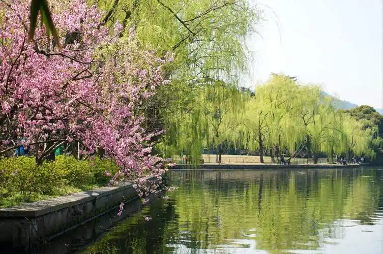 七绝题东坡居士