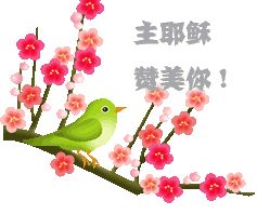 ∩)11楼来自妈妈帮android客户端  2013-04-29 07:24  感谢主